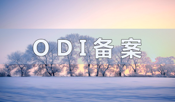 辦理ODI備案 辦理ODI備案